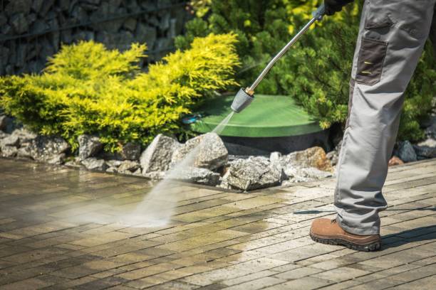 Best Vinyl Siding Pressure Washing in Kosciusko, MS